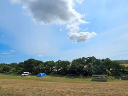 Back field