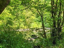 River walk
