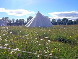 Bell tents in the North paddock