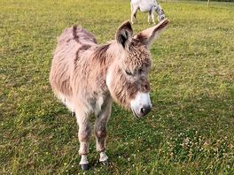 Our neighbours