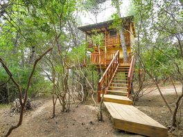 Treehouse in the woods