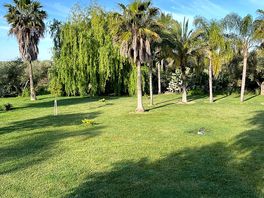 Beautiful view