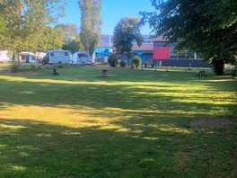 Dog park