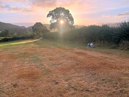 Sunset view