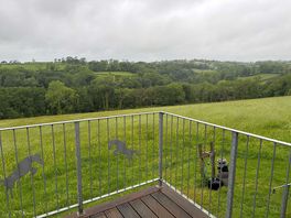 View from the cabin