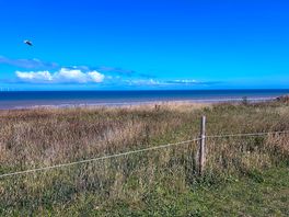 View from my pitch.