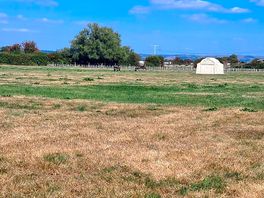 Site view