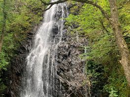 Walk from campsite to lady falls about 5k round trip