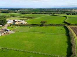 Aerial view of the campsite