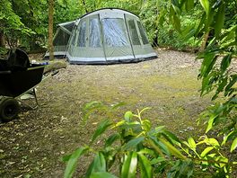 Grasshopper tent pitch