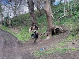 Tyre swing