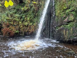 Lumb spout