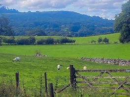 Valley view