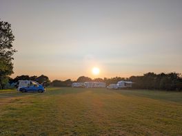 Looking west down the field