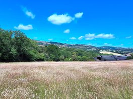 Site camp fields