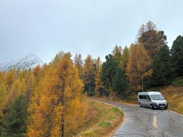Local view