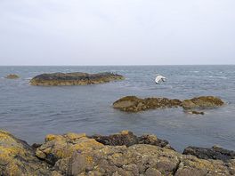 Nefyn