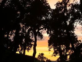 Jolie paysage surtout au coucher du soleil