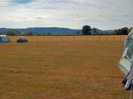 The field