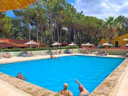 The pool