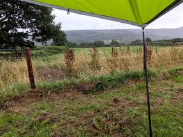 View from the lower side of the field