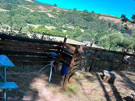 View from doorway.