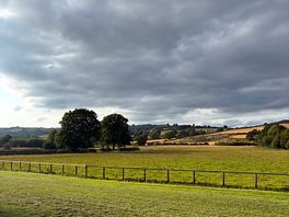 Field