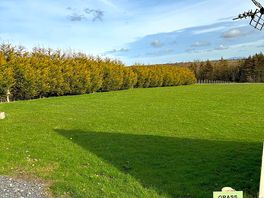 Grass pitches