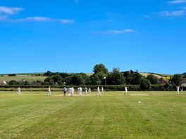 Cricket veld ernaast
