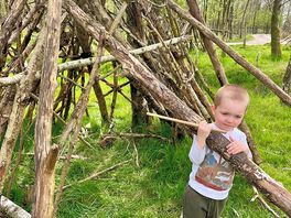 Den building