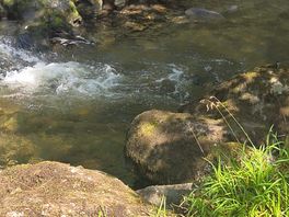 River at the campsite