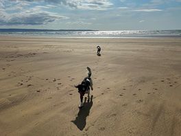 Northam burrows beach