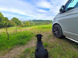 Dog friendly site