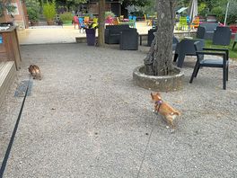 Lovely area