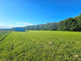 Campside