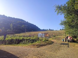 Le terrain mitoyen aux emplacements des tentes