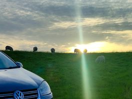 Sunset and sheep :)