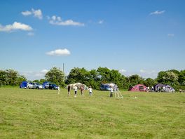 Grass pitches