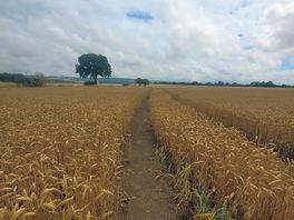 Route to the village