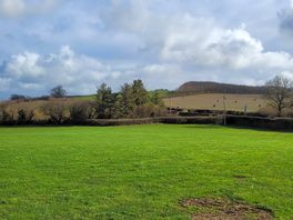 Camping field