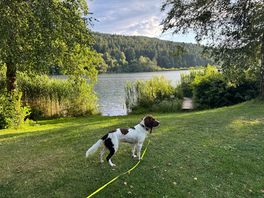 Our springer spaniel absolutely loved it here, green areas to run & the lake to cool off in.