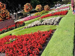Oswestry gardens 10 minute drive