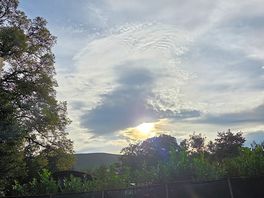 View from pod