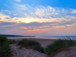 Beach dunes