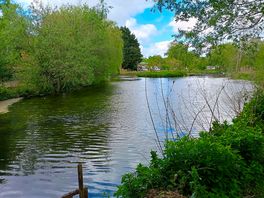 Specimen lake
