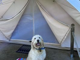 Bell tent