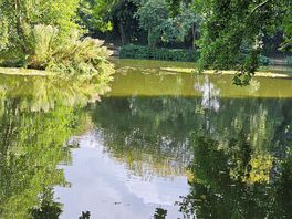 Walk around the lakes