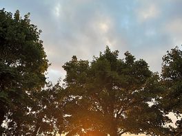 The stunning sunsets