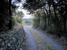 The walk to the cove