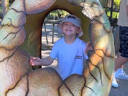 Dinos